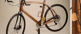 Elite bicycle made of wood
