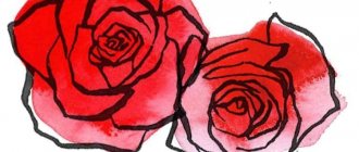 How to draw a beautiful rose: 7 easy ways (step by step)