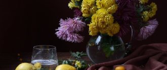 Мастер класс 12 цветов гуаши: натюрморт и невская палитра своими руками