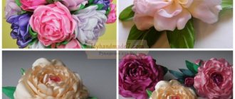 Do-it-yourself peonies: do it together. Photos and ideas 