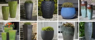 Examples of simple outdoor flowerpots