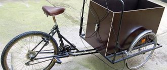Homemade cargo bike trike for adults